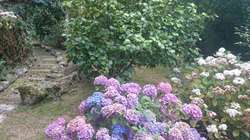 B&B El Jardin De Aes Puente Viesgo Eksteriør bilde