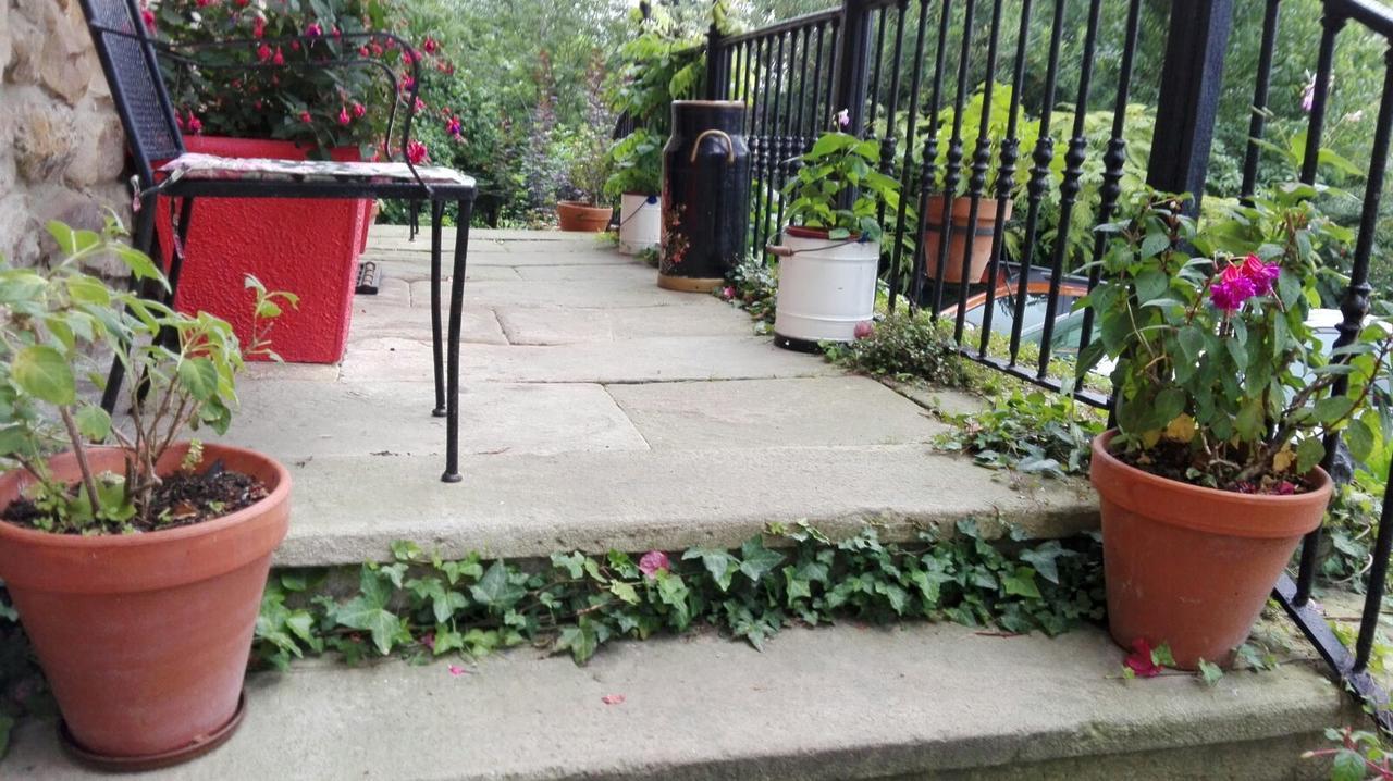 B&B El Jardin De Aes Puente Viesgo Eksteriør bilde